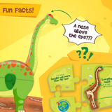 Learn Fun Facts about Dino