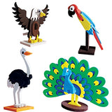 3D Birds Set