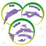 Mapology - India Discovery Pack